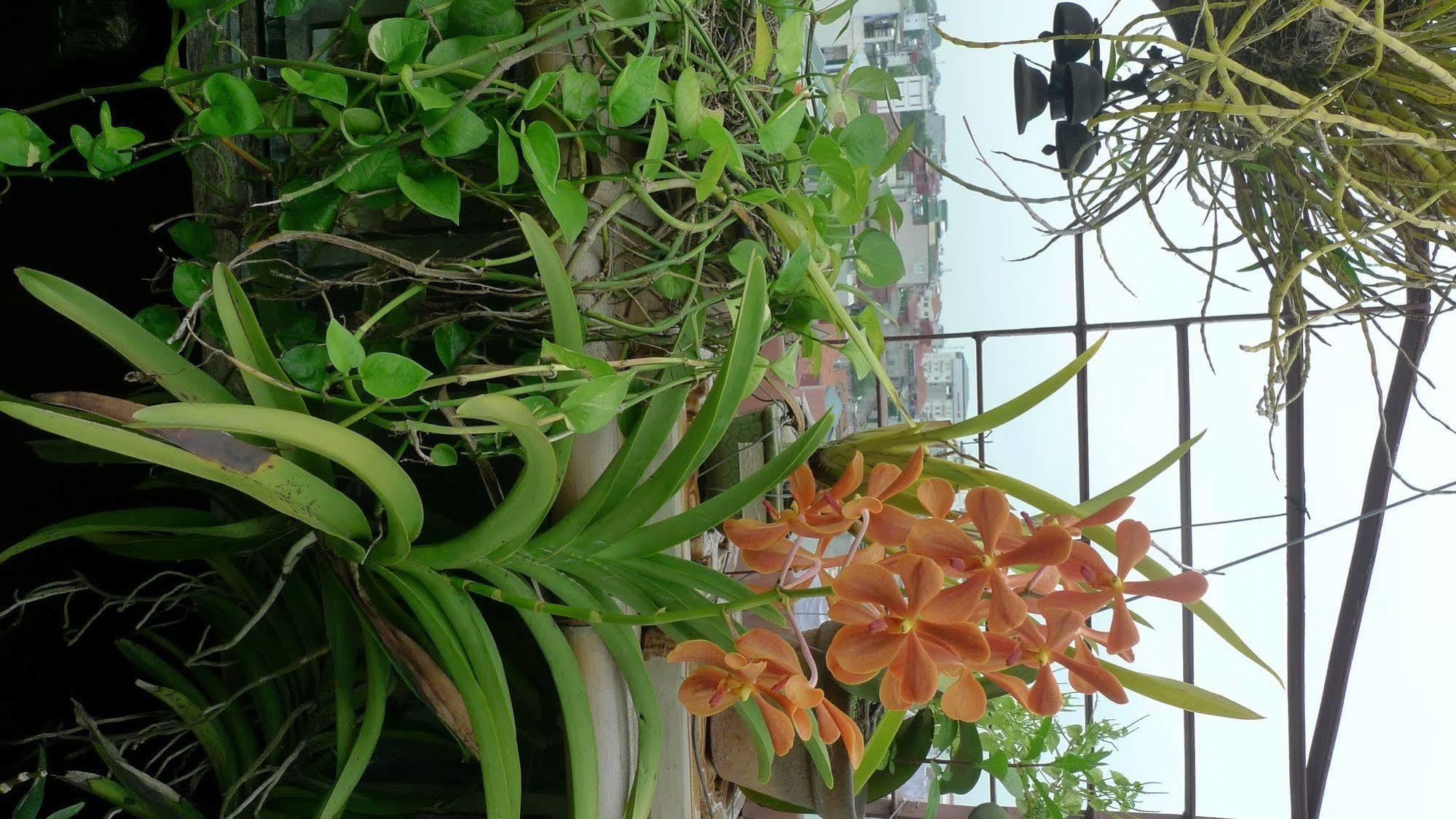 Hotel Garden Queen Ханой Экстерьер фото